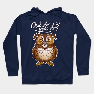 Owl do you do Hoodie